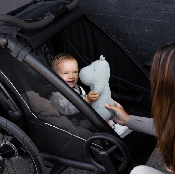 Thule Chariot Sport 2 Single - Image 21